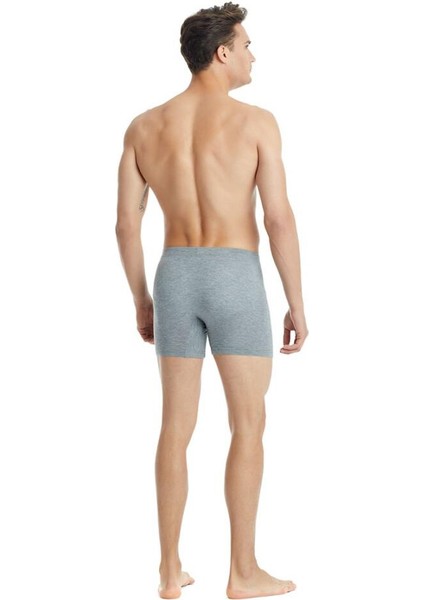 Silver Gri Boxer C3T1N3O9 fırsatları