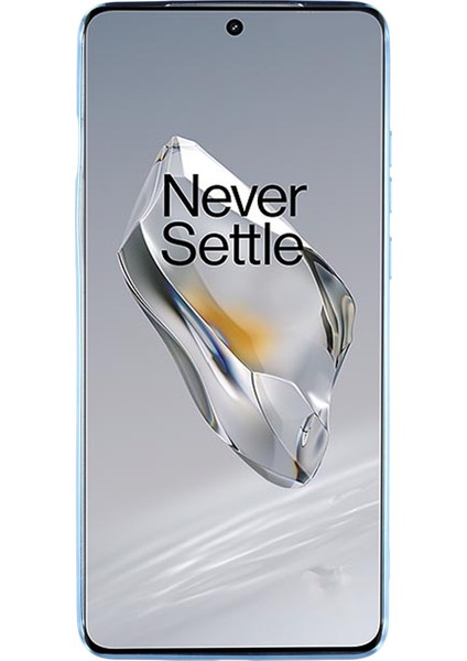 Kadem Telefon Kılıfı Oneplus 12 5g Çiçek Dekor Degrade Tpu Cep Telefonu Kılıfı-Mavi (Yurt Dışından) modelleri