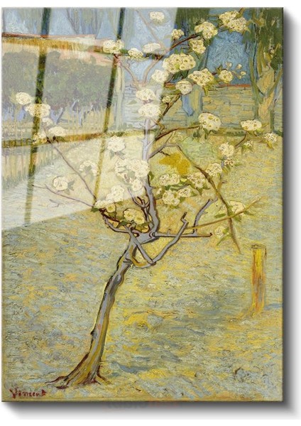 Vincent Van Gogh - Çiçek Açan Armut Ağacı Cam Tablo