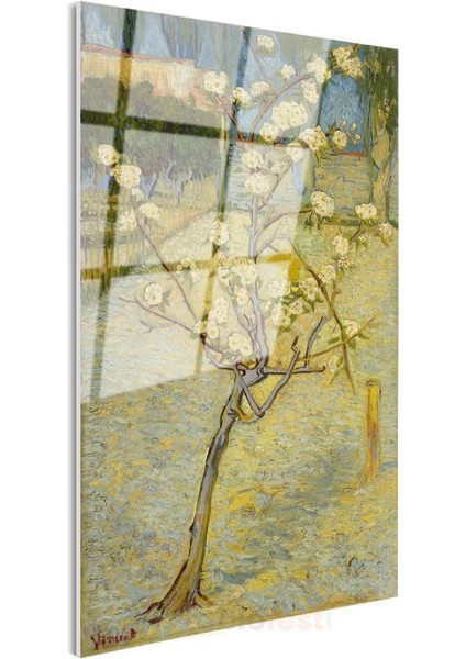 Vincent Van Gogh - Çiçek Açan Armut Ağacı Cam Tablo