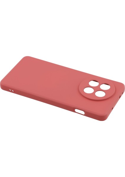 Oneplus Ace 5 5g/ace 5 Pro 5g Kılıf Tpu Arka Yumuşak Çizilmez Fiber Astar Telefon Kılıfı-Alıç Kırmızısı (Yurt Dışından) fırsatları