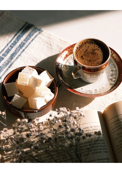 Damla Sakızlı Pudra Şekeri Kaplı Mini Lokum indirimleri