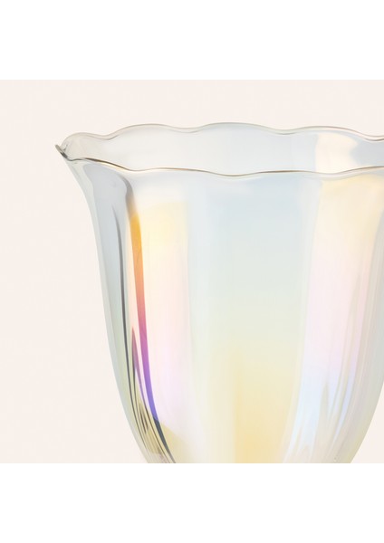 Loess Cam Kadeh 330 Ml Şeffaf fırsatları