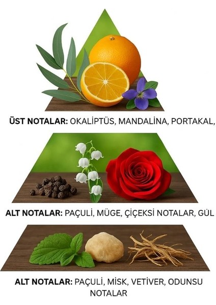 Bloom Kadın Parfümü 30 ml fiyatları