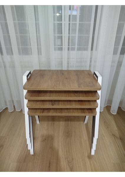 Zigon Sehpa 4'lü Tepsi Model