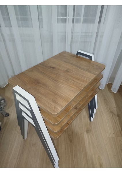 Zigon Sehpa 4'lü Tepsi Model