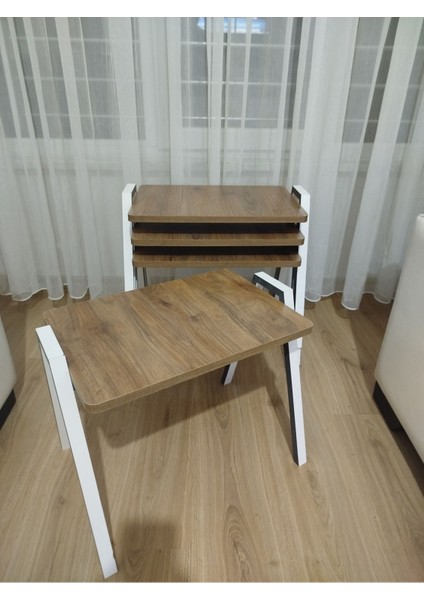 Zigon Sehpa 4'lü Tepsi Model