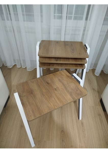 Zigon Sehpa 4'lü Tepsi Model