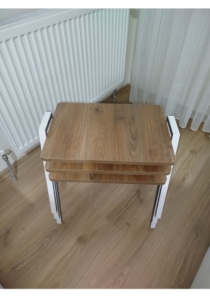 Zigon Sehpa 3'lü Tepsi Model