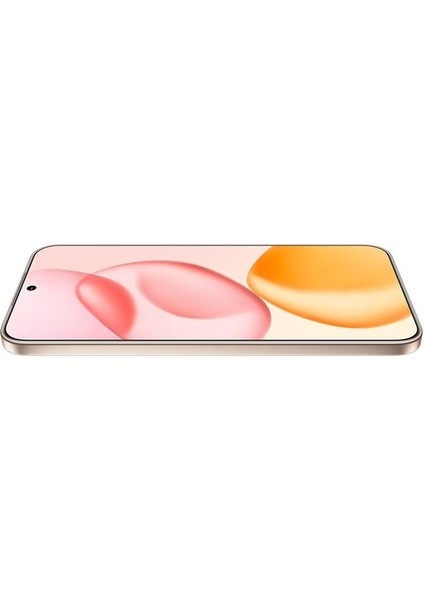400 12 + 256 GB Akıllı Telefon Altın indirimleri