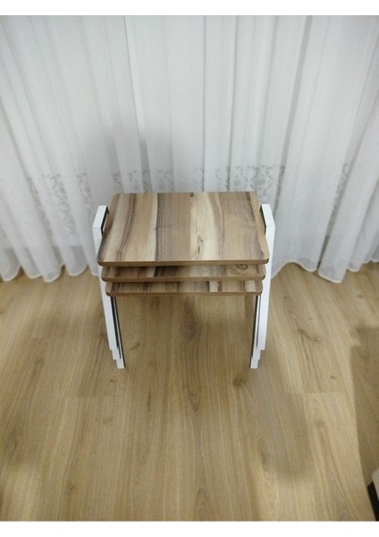Zigon Sehpa 3'lü Tepsi Model