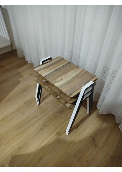 Zigon Sehpa 3'lü Tepsi Model