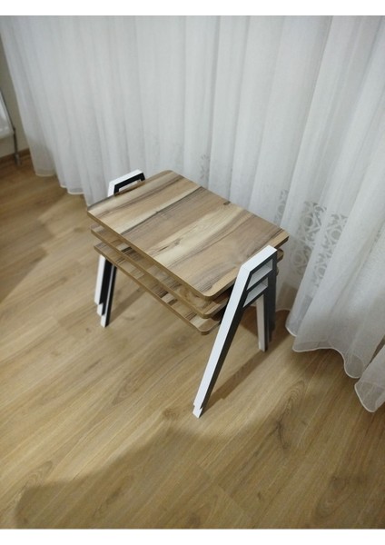 Zigon Sehpa 3'lü Tepsi Model