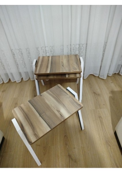 Zigon Sehpa 3'lü Tepsi Model