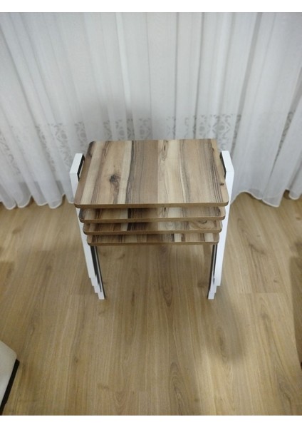 Zigon Sehpa 4'lü Tepsi Model modelleri