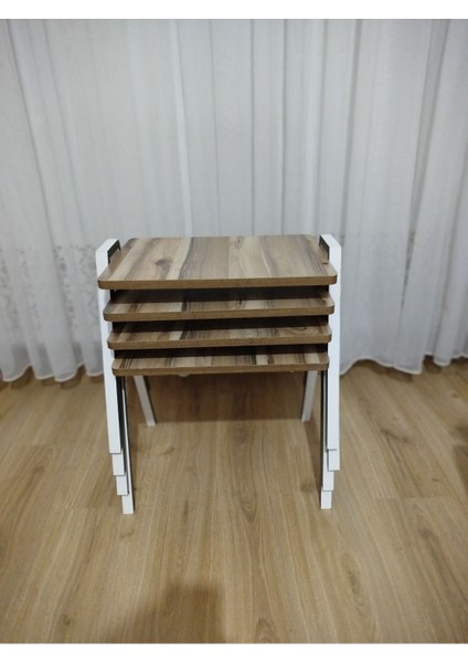 Zigon Sehpa 4'lü Tepsi Model fırsatları