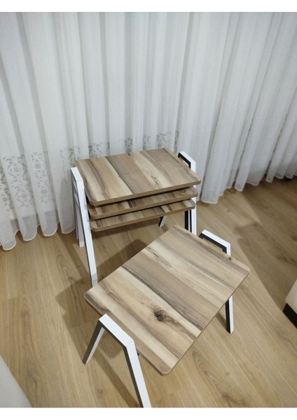 Zigon Sehpa 4'lü Tepsi Model
