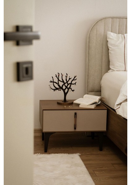 Kahverengi Küpe Organizer, Pratik ve Şık Saklama Çözümü fiyatları