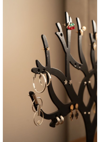 Kahverengi Küpe Organizer, Pratik ve Şık Saklama Çözümü fırsatları