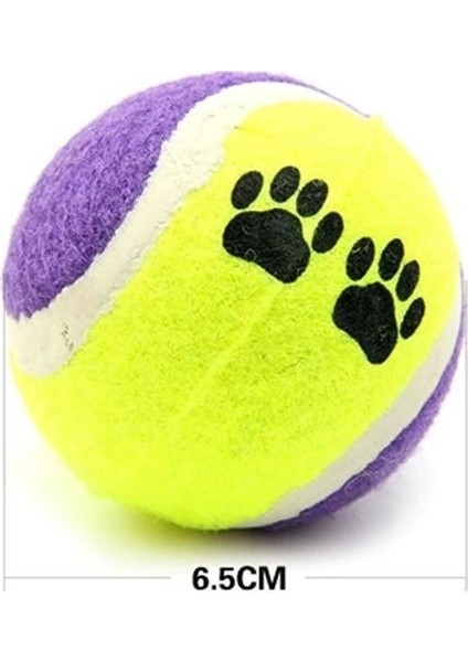 3lü Renkli Desenli Tenis Topu Kedi Köpek Oyuncağı