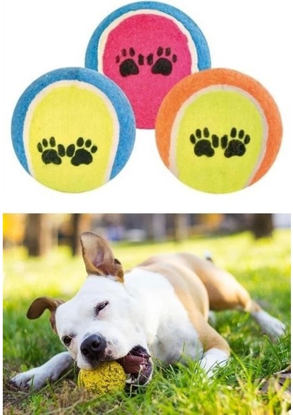3lü Renkli Desenli Tenis Topu Kedi Köpek Oyuncağı