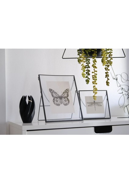 Siyah Yüzük ve Takı Standı - Dekoratif, Modern ve Zarif Tasarım