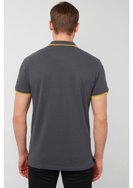 Pamuklu Regular Fit 3'lü Paket Polo Yaka T Shirt Erkek Polo Yaka T Shirt 59029641518S3 indirimleri