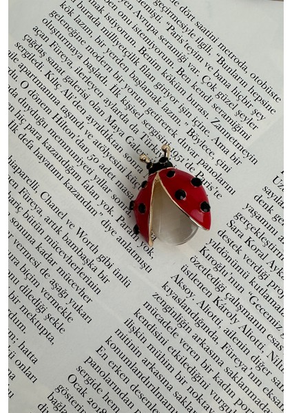 Taş Detay Kırmızı Sedefli Uğur Böceği Broş (3cm) fırsatları