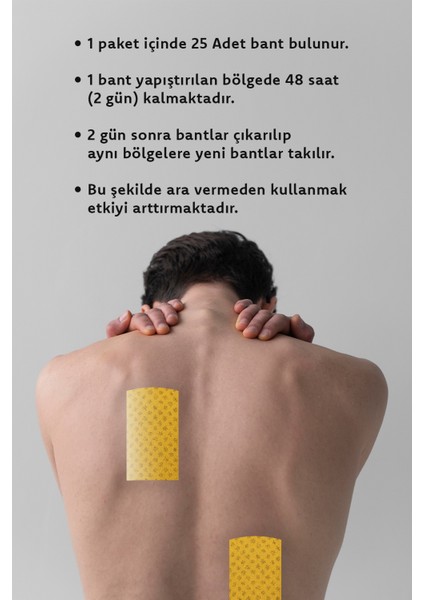 Hızlı Etkili Doğal Ginseng Bandı Uzun Süreli Etki 50 Bant fiyatları