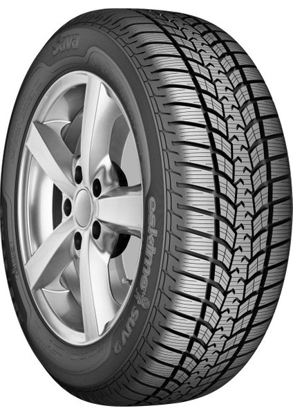 255/55 R18 109Y Xl Eskimo Suv 2 Oto Kış Lastiği (Üretim Yılı: 2024)