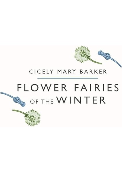 Flower Fairies Of The Winter fiyatları