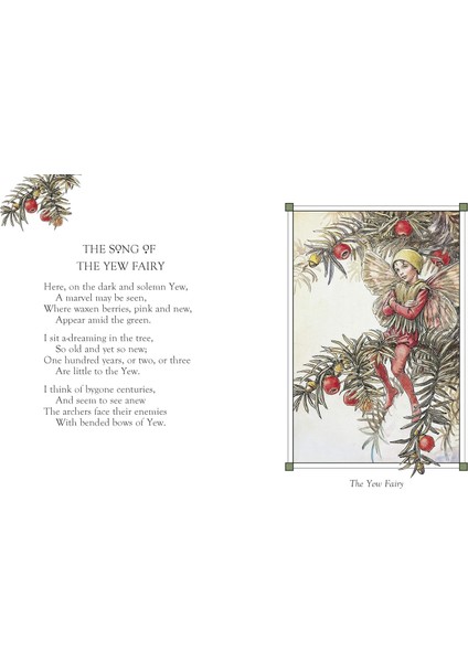 Flower Fairies Of The Winter indirimleri