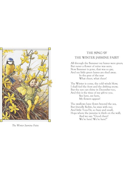 Flower Fairies Of The Winter