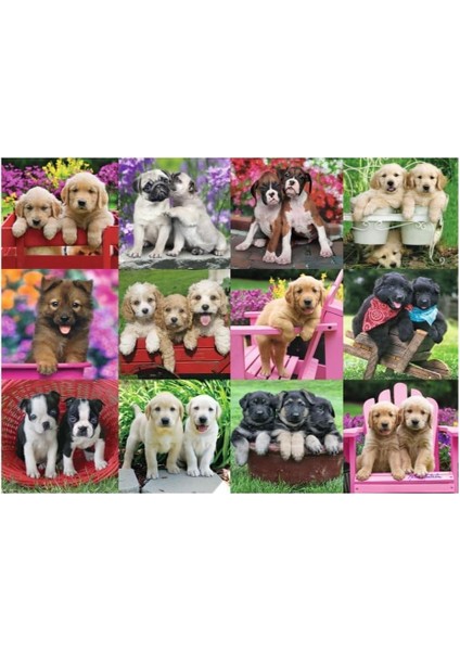 500P Puz Köpek Yavruları Yapboz