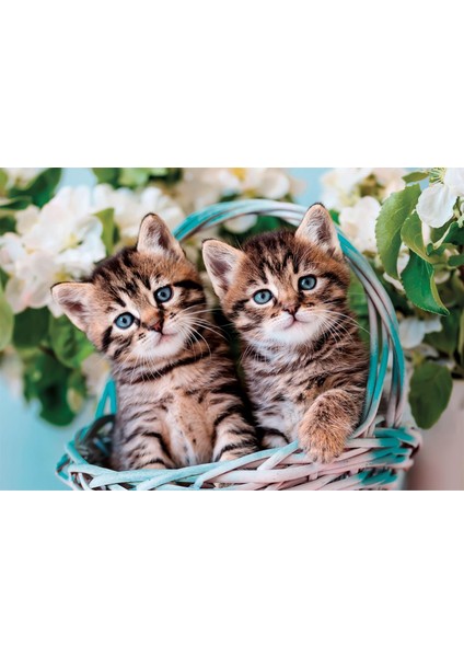 Clementonı 60 El. Super Kolor Lovely Kitty Twins [puzzle]