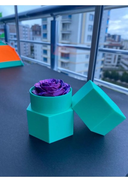 Sonsuzluk Gülü fiyatları