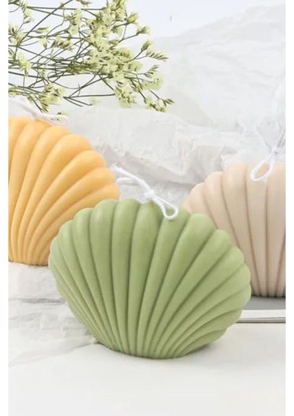 Yeşil Istiridye Dekoratif Mum, Nişan ve Mevlid Için Şık Hediye fiyatları