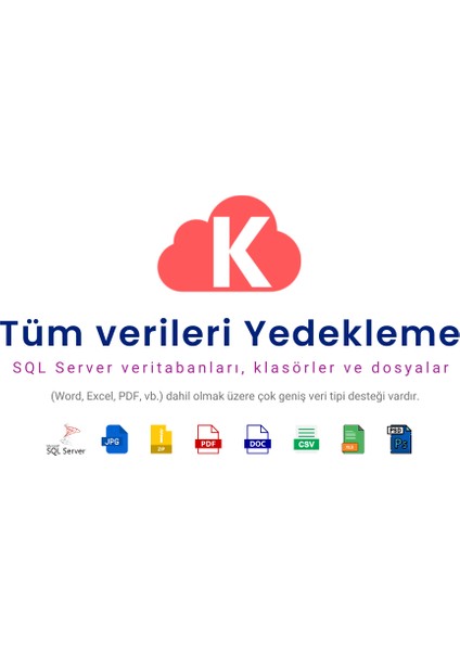 Bulut Yedekleme-yıllık Enterprise-windows Uyumlu Sql & Dosya Backup-yerli Sunucu-ssl Güvenlik