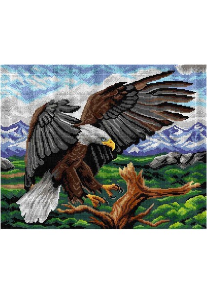 Baskılı Goblen Kartal 3004 40*50 cm