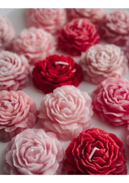 10 Adet Renkli Şakayıkk Mumler, Nişan, Düğün, Doğum Günü, Kına, Söz Hediye Seti