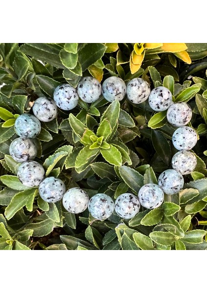 Doğal Taş Mavi Benekli Bileklik - Bleu Moucheté De Noir fırsatları