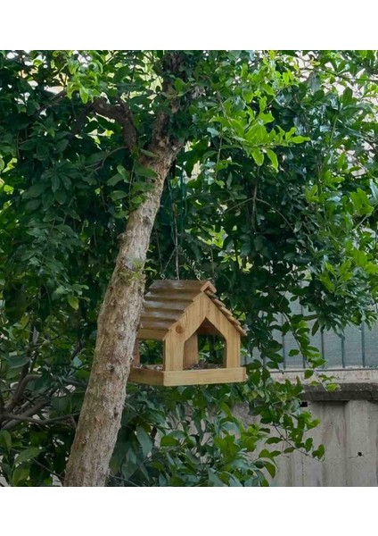 Kuş Yuvası ve Kuş Yemliği Dış Mekan