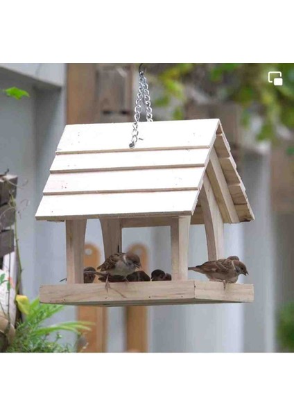 Kuş Yuvası ve Kuş Yemliği Dış Mekan fırsatları