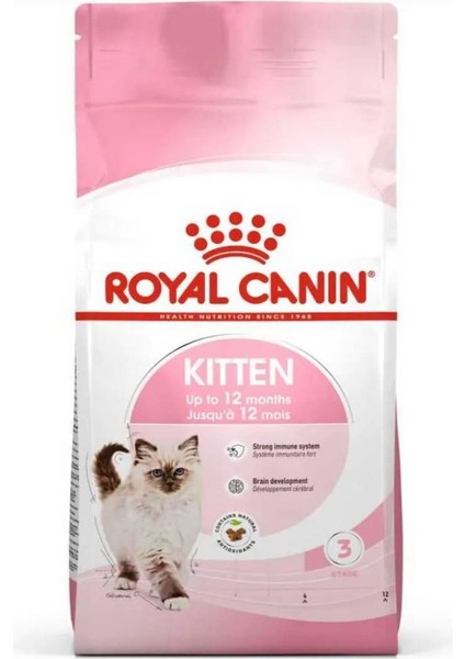 Kitten 4 kg
