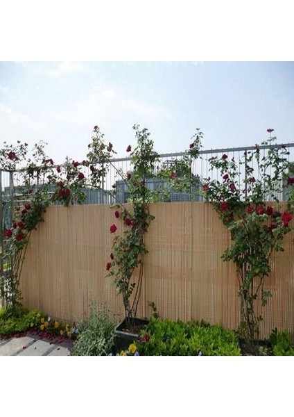 1 Metre x 3 Metre Bambu Kamış Hasır Bahçe Çiti Gölgelik Balkon Çiti