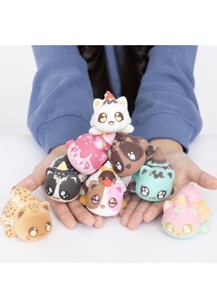 APH02200 Aphmau Sürpriz Squishies