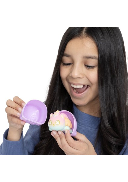 APH02200 Aphmau Sürpriz Squishies