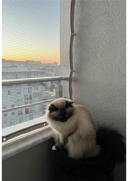 Beyaz Kuş Filesi 2,5x5,5 M Balkon Filesi Kedi Filesi Koruma Filesi Dolu Filesi File Kuş Önleme File