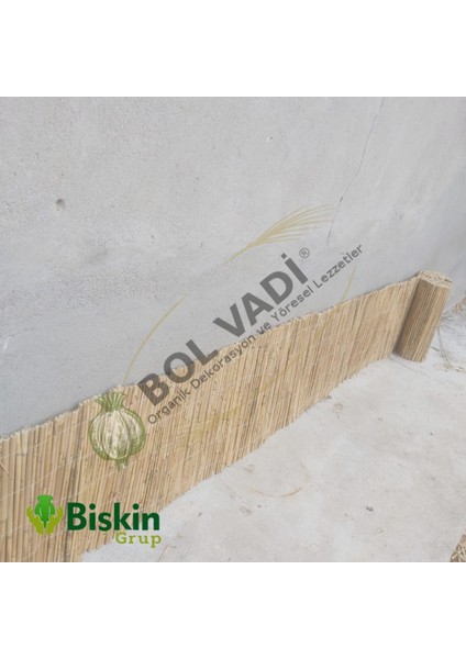 40cm x 5m Bambu Hasır Çit, Bahçe ve Balkon Koruma, Dayanıklı Reedfence, Beyaz
