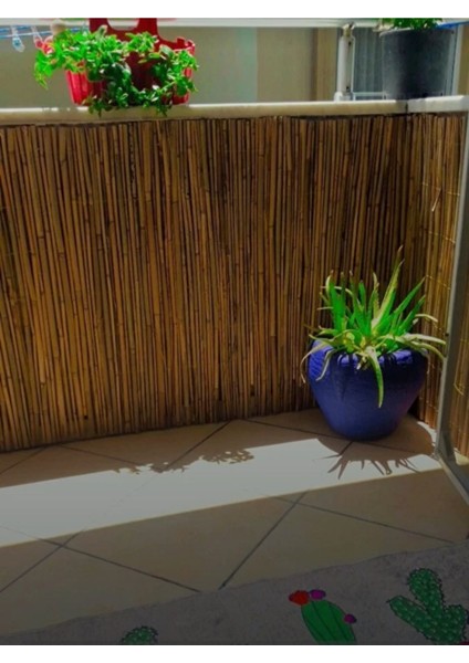 Hasır 60 cm x 3 Metre Kamış Hasır Bambu Bahçe Çiti Balkon Çiti Gölgelik ve Dekorasyon Tr Metro Hası